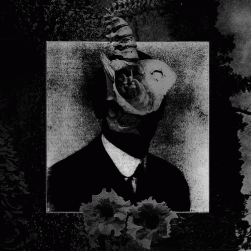 Mord'A'Stigmata : Like Ants and Snakes